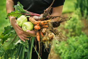 starting a fall garden