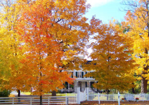 Prepare Your Home For Fall